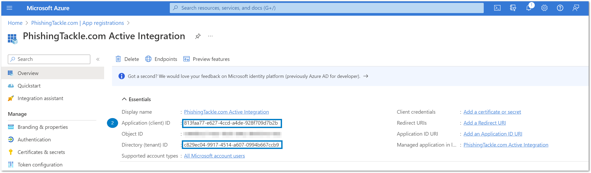 Active Integration Settings.png